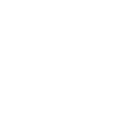 Icon button